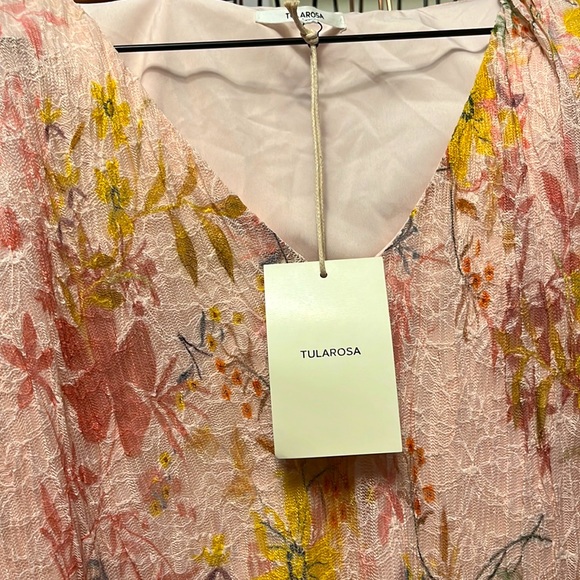 Tularosa dress from Revolve - Picture 6 of 6